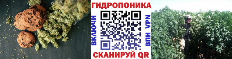 Canna-Cookies конопля Верхняя Салда