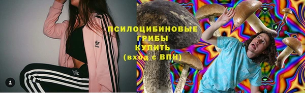 гидра Переславль-Залесский