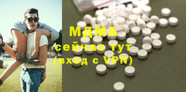 МДПВ Пересвет